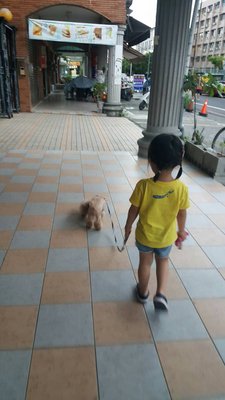 恵まれない子供に年1万元積み立てへ
