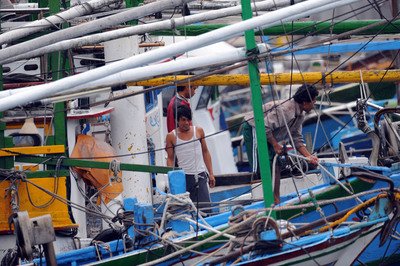 外国籍漁業者権益保護の法律、来年施行