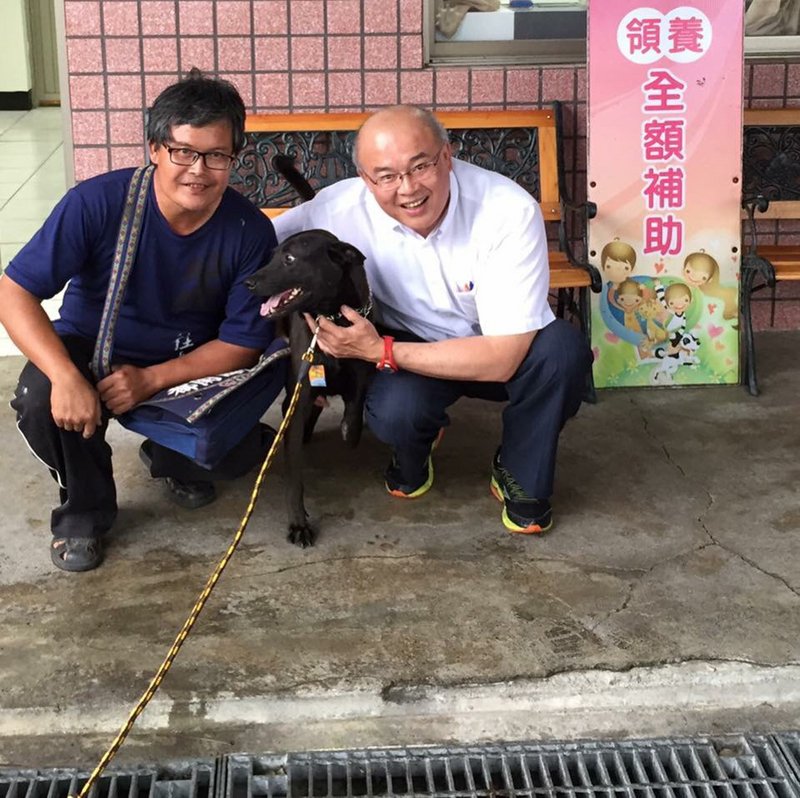 野良犬・猫の殺処分を全面的に停止