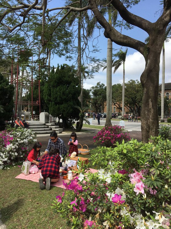 台北市、「市花」のツツジフェス初開催