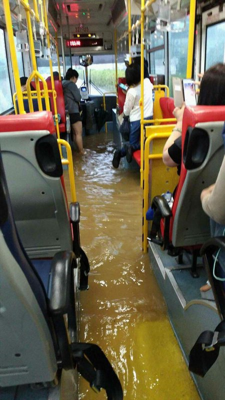 観光局：北海岸観光は豪雨の影響なし