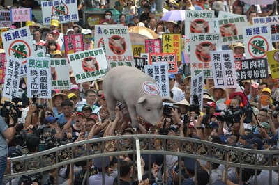 ラクトパミン肉の輸入、養豚協会が反対