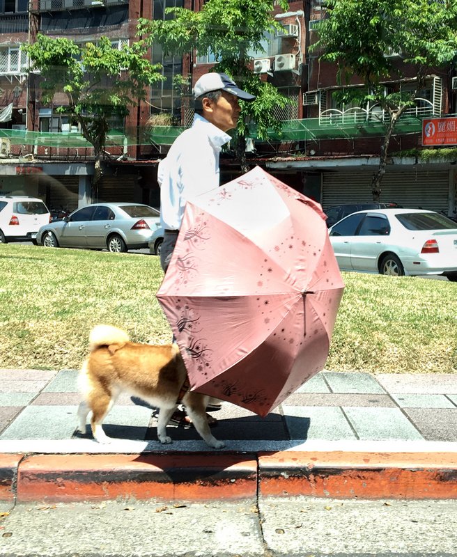 台北で36℃超が10日連続の記録