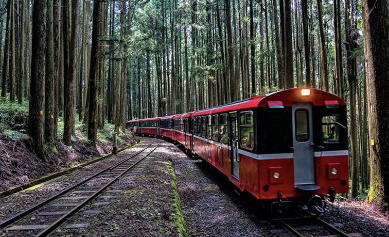 阿里山鉄道クルーズ列車、水山支線へ