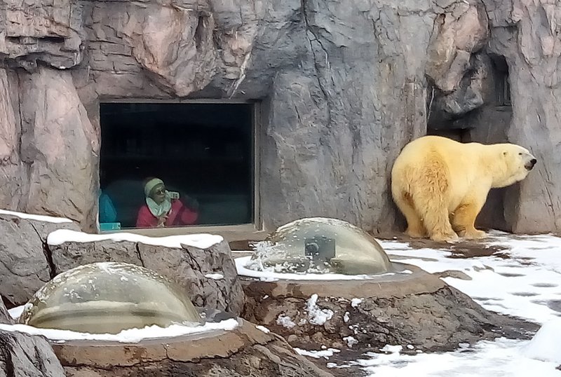 新竹市動物園、再生に向け日本を視察