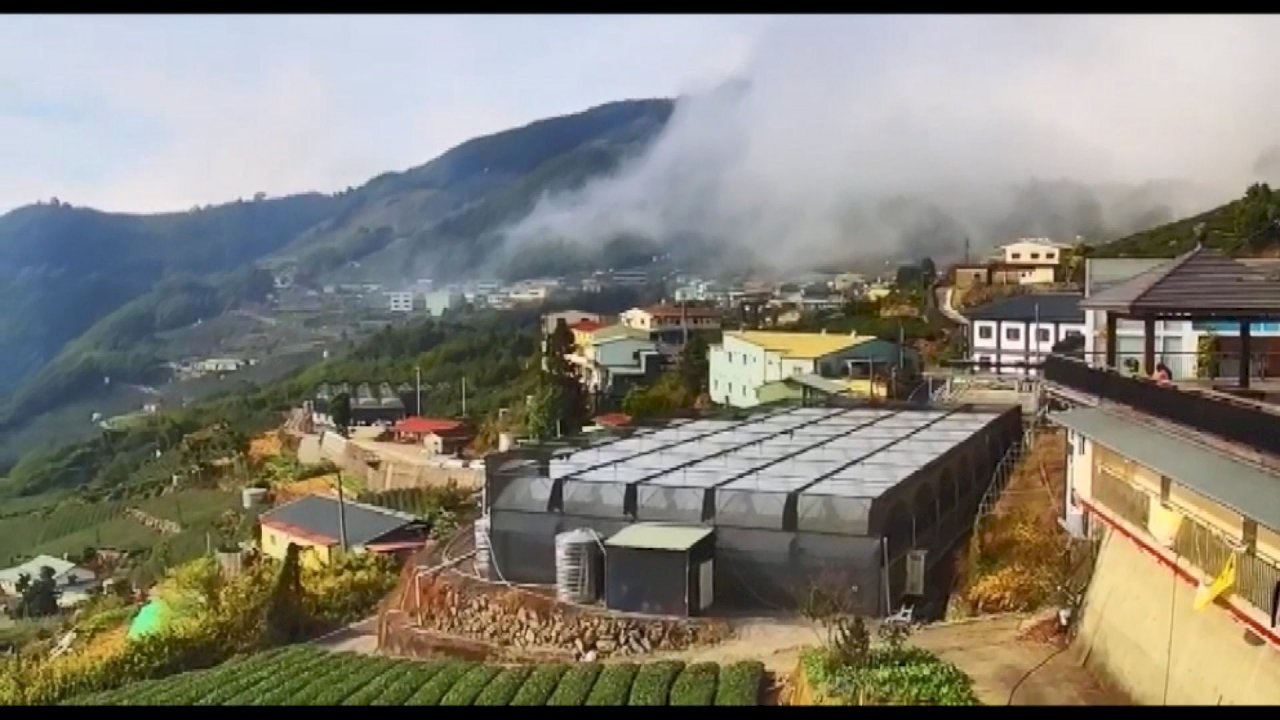 阿里山の絶景、ライブ配信で楽しめる