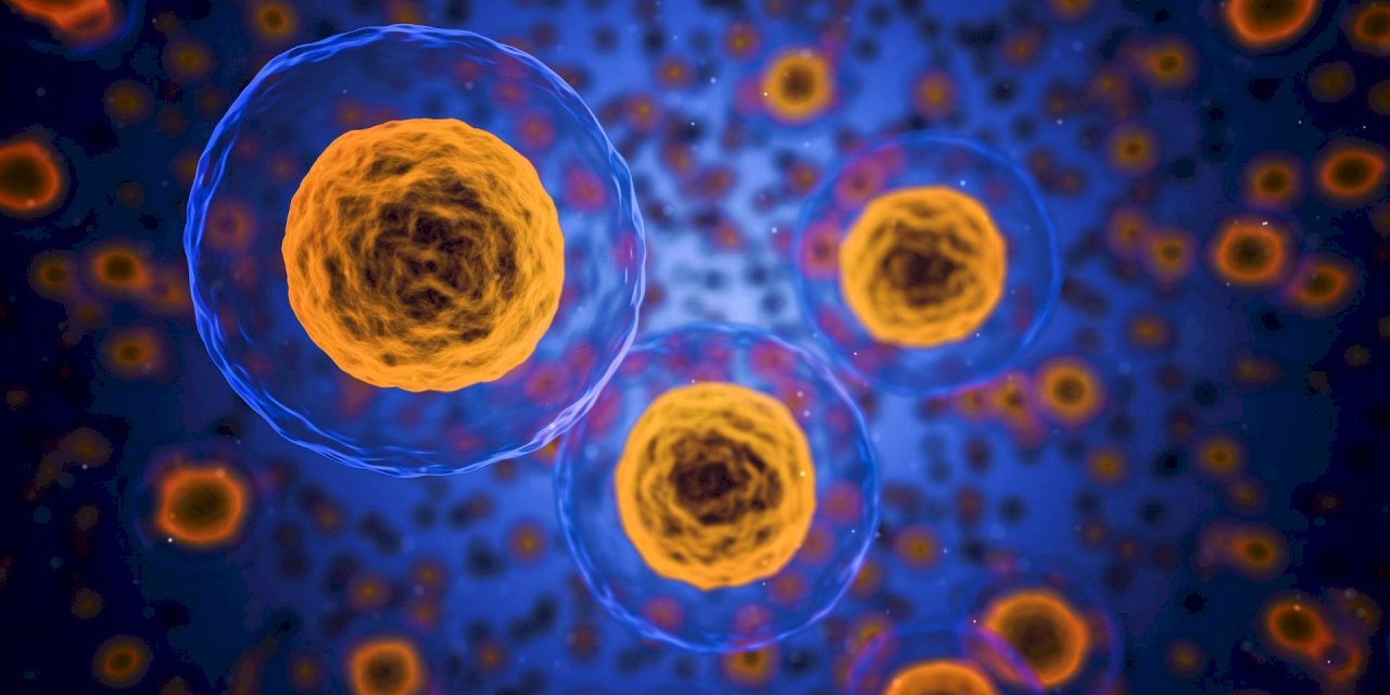 台湾、新型コロナ感染による死者1人増え累計3人に