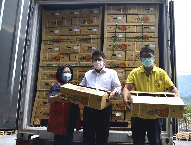 台湾産パイナップル、日本に向けて出荷