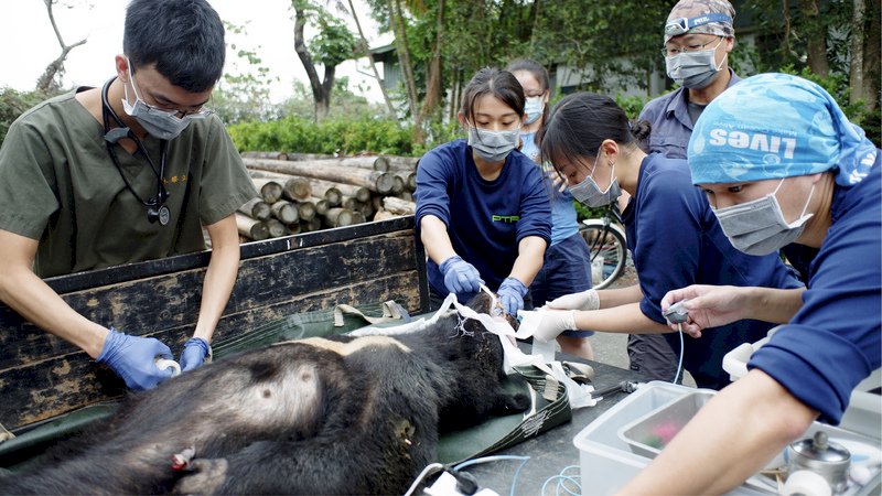 台湾東部、初の野生動物救護センター設置