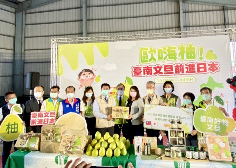 台湾のザボン、20年ぶりに日本へ輸出