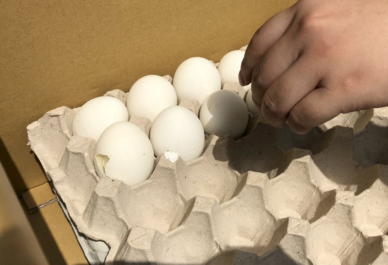 鳥インフルエンザ発生、日本からの家禽・卵の輸入を禁止