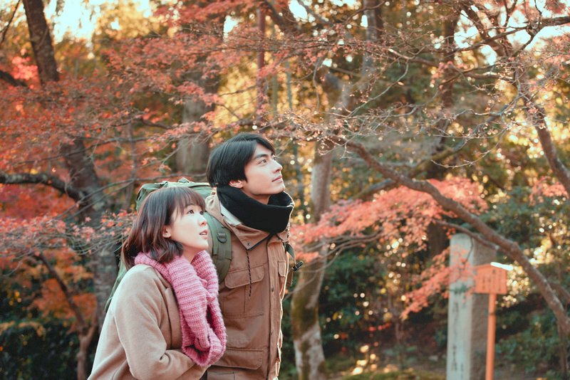 台湾人、なぜ日本旅行が好きか