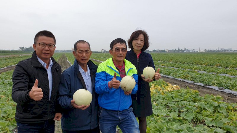 冬に露地物のメロンとスイカ、台湾では屏東県だけ