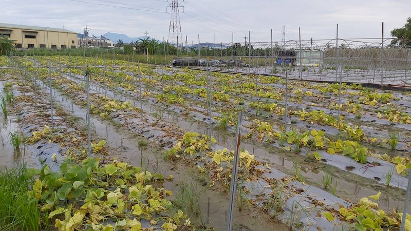 豪雨による農業被害、5億7000万台湾元