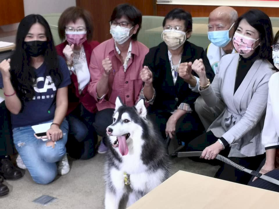 動物保護団体、マンションのペット禁止令の廃除を呼びかけ