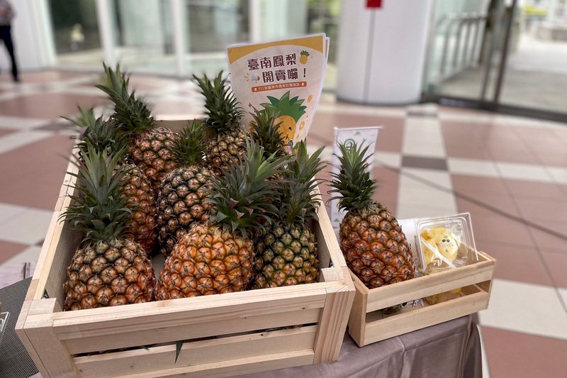 台南産パインが、日本に600トン輸出の予定