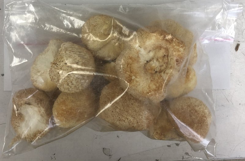 中国産ヤマブシタケ、半年で残留農薬13回