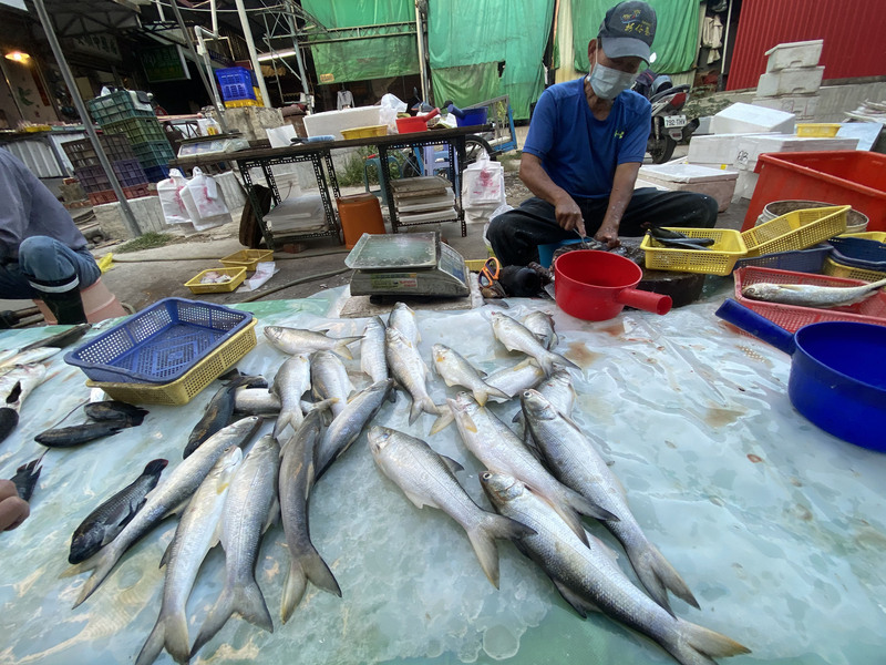 中国が台湾の水産品を突然禁輸、年間生産額６０億元余り
