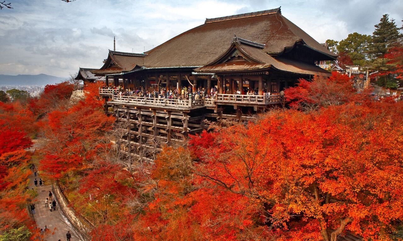 一週間休みがあったら国内旅行と日本旅行どっちに行く？