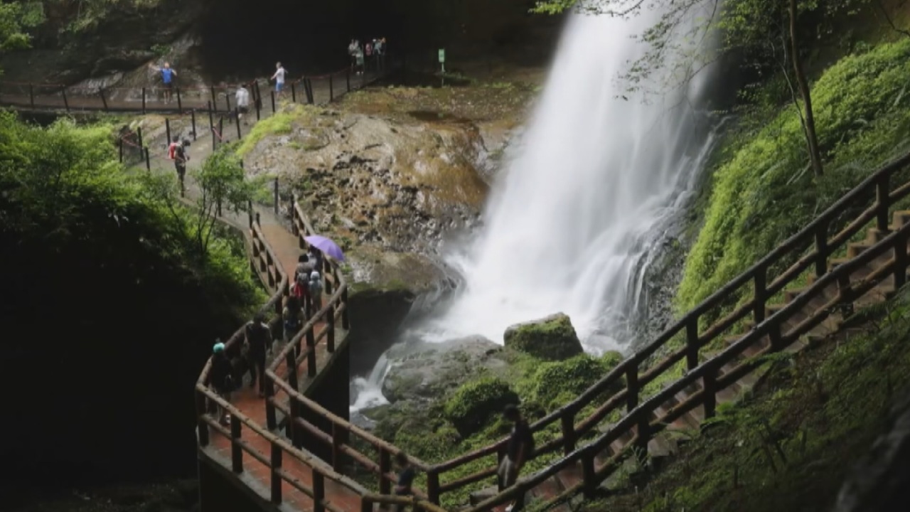 大雨後のサプライズ！南投の松龍岩の滝でホタルとマイナスイオンが大量発生