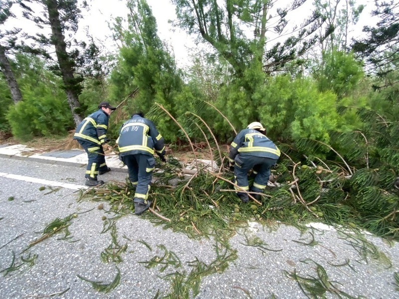 台風14号の被害　台湾全土で1719件、190人がけが