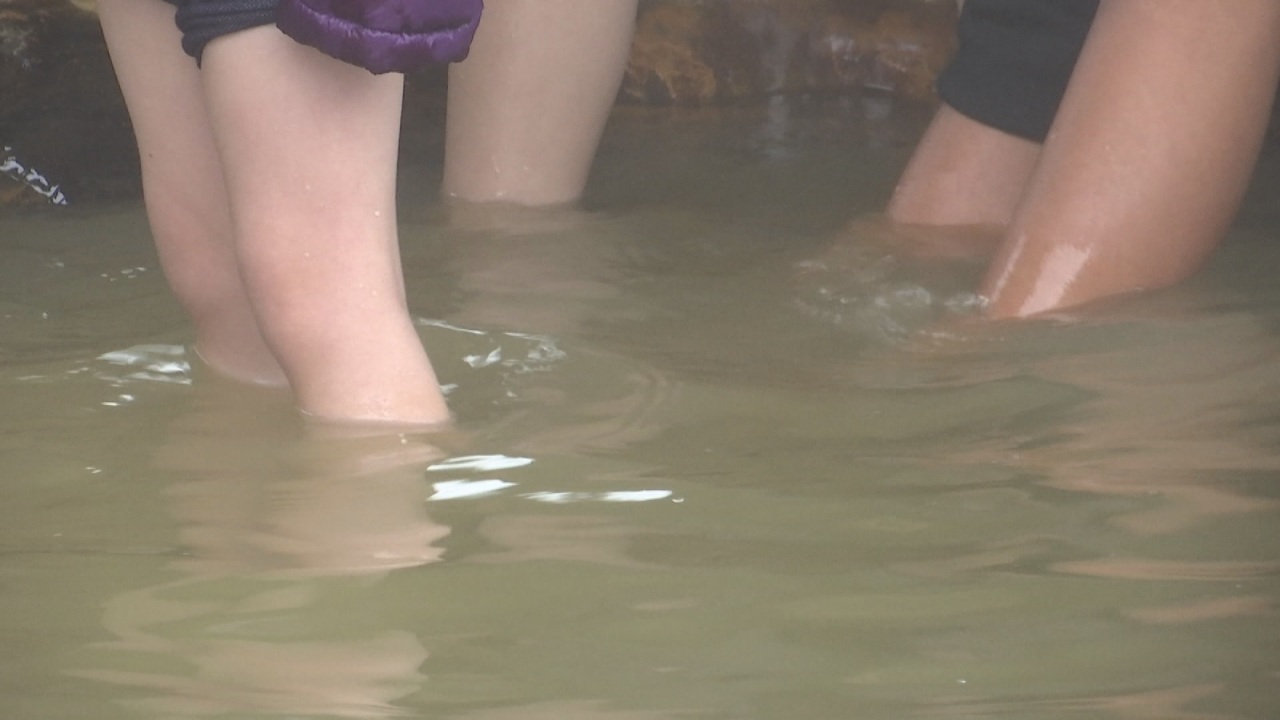 「極端な気候現象」の衝撃！陽明山で一時的な水不足　温泉供給に影響