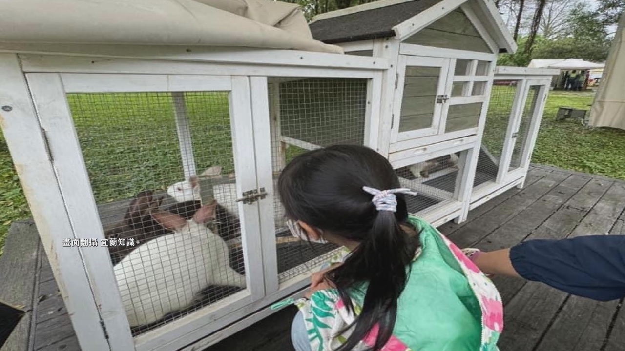 宜蘭グリーンエキスポ、狭いウサギの飼育舎で議論を呼ぶ