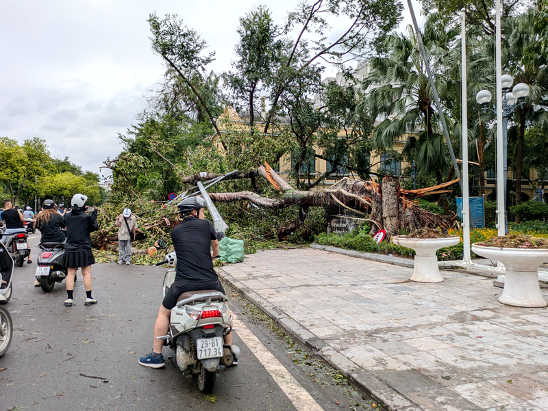 【台風11号】ベトナムで死者281人、損失は年間GDPの約0.15%に達する見込み