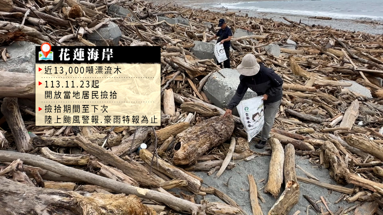 台風襲来で花蓮の海岸に大量の流木　新スポット「一本の丸太」が出現