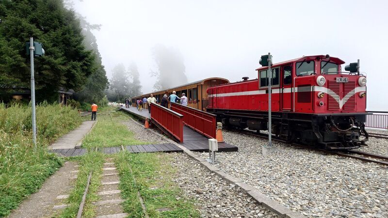 NYタイムズ「2025年に行くべき52カ所」、台湾の阿里山森林鉄道が選出