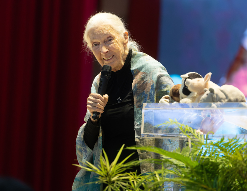 91歳のジェーン・グドール氏：どんなに小さな行動でもみんなで力を合わせれば世界を変えることができる