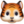 🐯